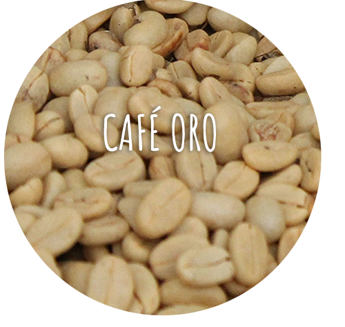 cafe oro_1