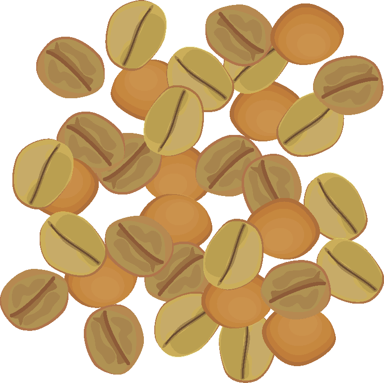 robusta