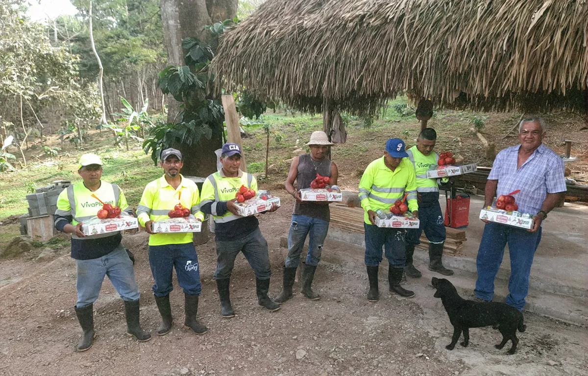 equipo viva planet